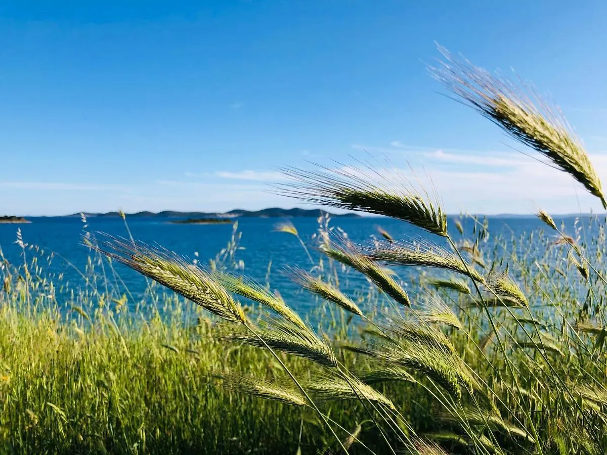 Ecobeachvilla Buqez 9 Pakoštane Kroatien
